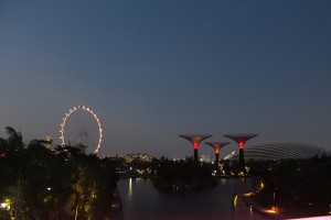 Garden by the bay : ยูนิเวอร์แซล สตูดิโอ สิงคโปร์ (Universal Studio Singapore : USS)