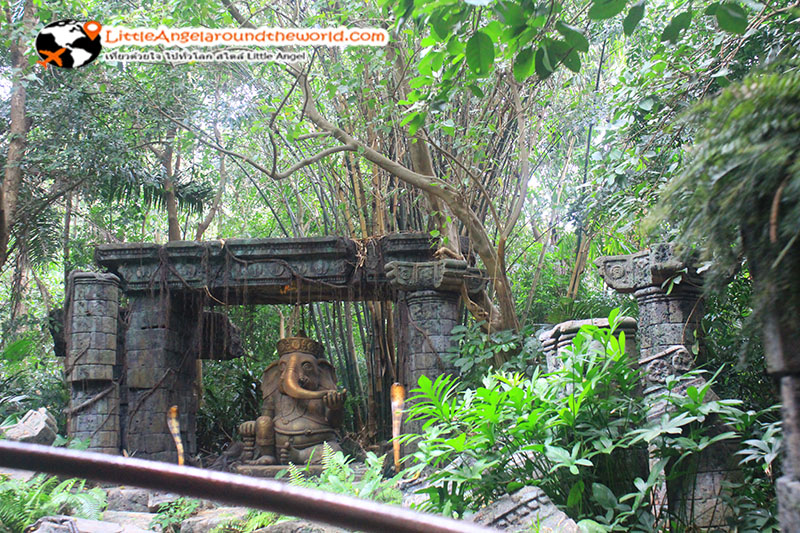 สิงสาราสัตว์ คอยจ้องมองเราตลอดเส้นทาง : Adventure Land ฮ่องกงดิสนีย์แลนด์