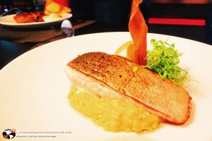 Salmon Salad ย่างมาได้ที่ : OX Restaurant & Grill (Best of SWISS Gastro)
