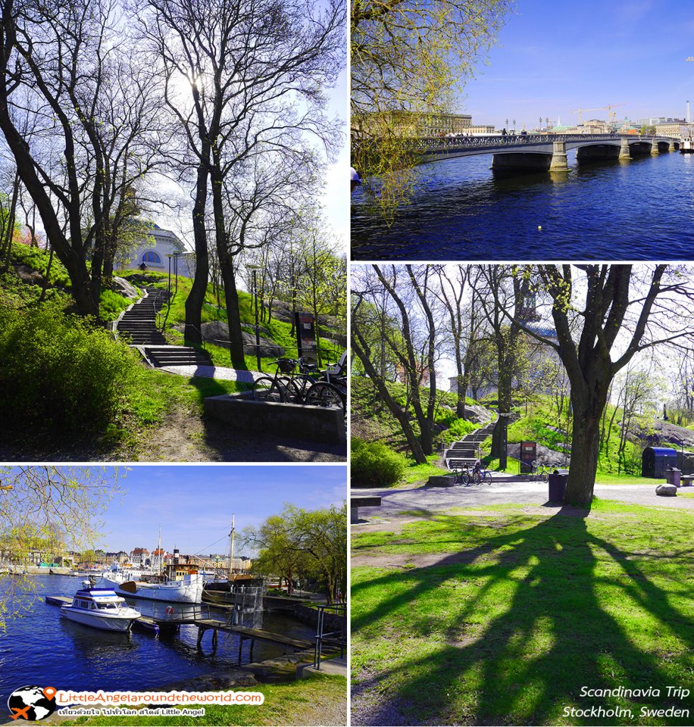 บรรยากาศริมทางก่อนถึงท่าจอดเรือ : ที่เที่ยว Stockholm,Sweden