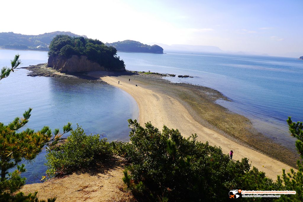 เที่ยว Setouchi : ทะเลแหวก Kagawa