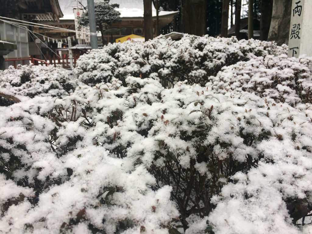 ในเดือนธันวาคมถึงมีนาคม ที่เมือง Hachinohe จะถูกปกคลุมไปด้วยหิมะ : บริเวณศาลเจ้า Kushihiki Hachimangu Shrine, ศาลเจ้าดังแห่ง Hachinohe, Aomori