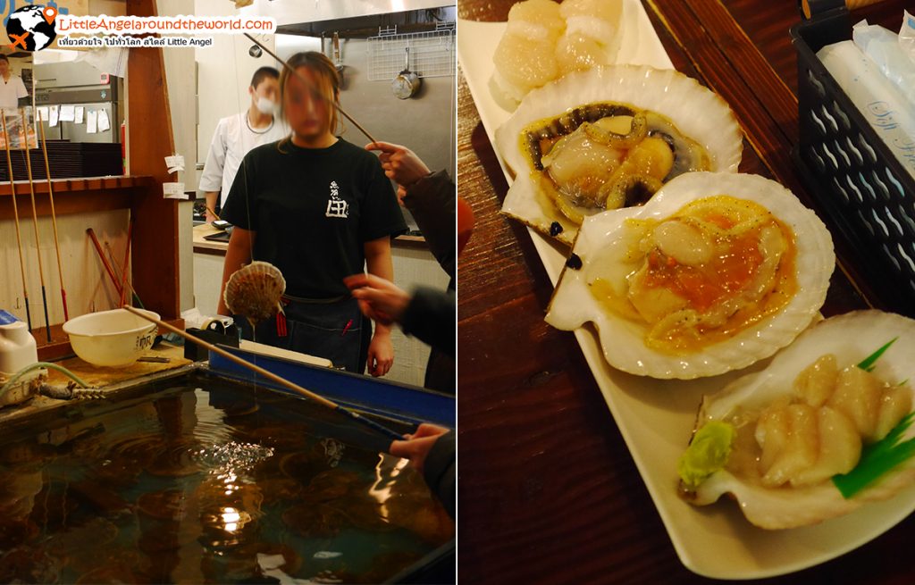 ตกเอง กินเอง หอยสดๆ แค่ 500 เยน ที่ aomori hotate goya : รีวิวที่เที่ยวอาโอโมริ