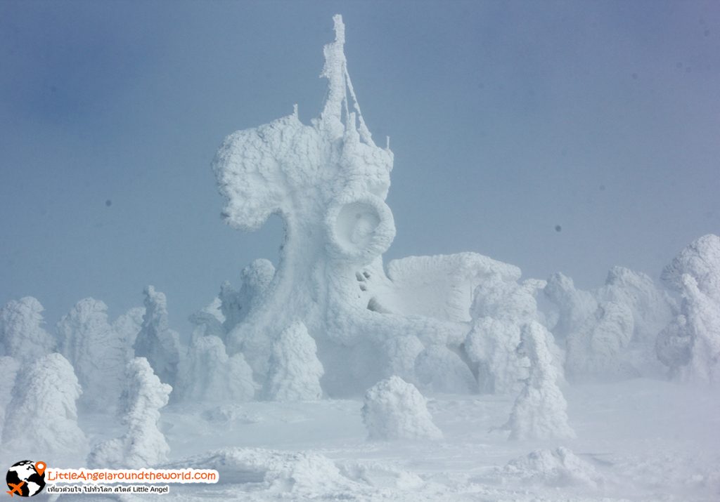 ความมหัศจรรย์ของ Snow Monster ที่ Mt.Hakkoda : รีวิวที่เที่ยวอาโอโมริ