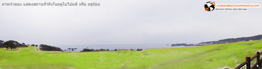 ภาพจำลองช่วงหน้าร้อน หุ่มหญ้าเขียวขจี ณ จุดชมวิวพาโนรามา Tanesashi kaigan hashikamidake prefectural natural park