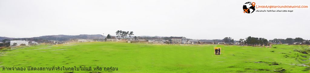 ภาพจำลองช่วงหน้าร้อน หุ่มหญ้าเขียวขจี ณ จุดชมวิวพาโนรามา Tanesashi kaigan hashikamidake prefectural natural park