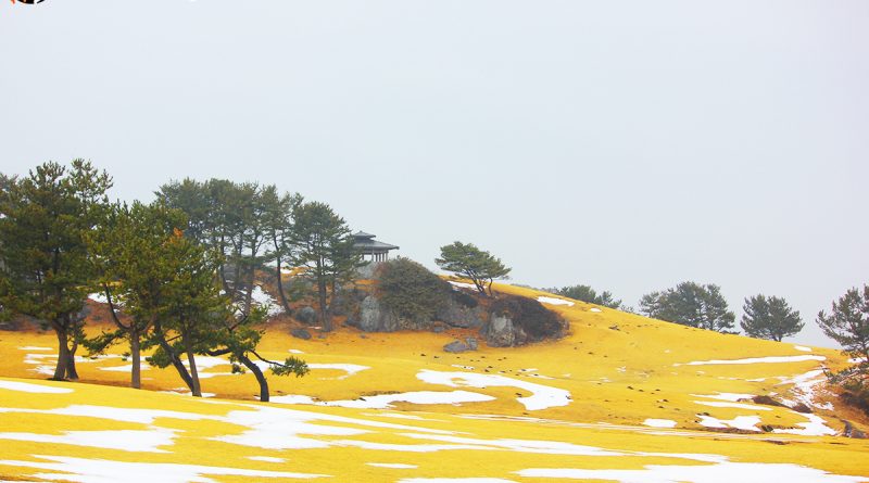 จุดชมวิวพาโนรามา Tanesashi kaigan hashikamidake prefectural natural park