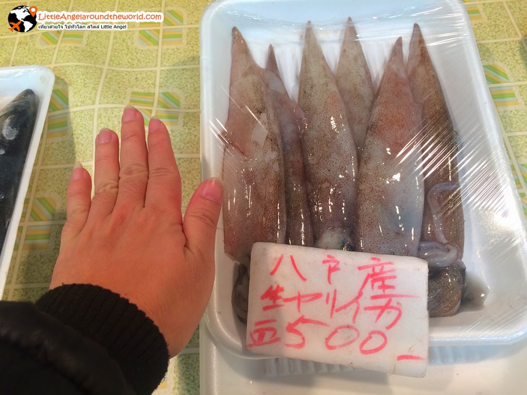 ปลาหมึกตัวใหญ่กว่ามือ แต่ราคาแสนถูก ที่ ตลาด Mutsu-minato Ekimae Asaichi เมือง Hachinohe จังหวัด Aomori