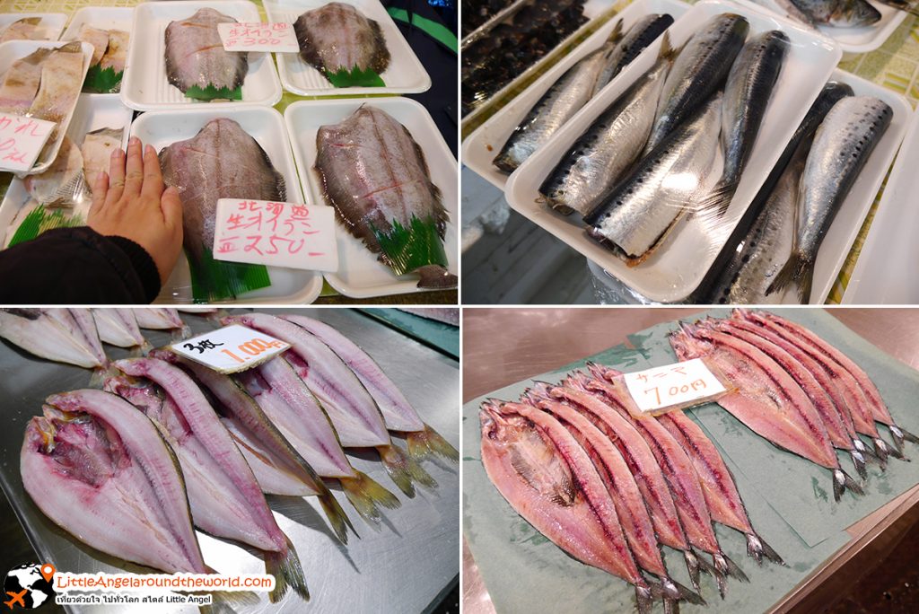 ปลาตัวใหญ่ๆ ซื้อแล้วนำไปปรุงที่บ้าน : ตลาด Mutsu-minato Ekimae Asaichi เมือง Hachinohe จังหวัด Aomori