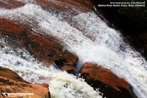 น้ำใสไหลลงมาตามทาง น้ำตกไป๋หม่าซี่ (Baima River Scenic Area)