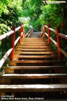 เดินขึ้นบันได เพื่อไปข้ามสะพานแขวนกระจก (Baima River Scenic Area)