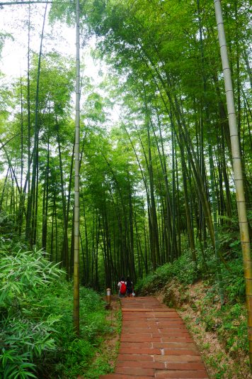 บรรยากาศที่ อุทยานทะเลไผ่ชื่อสุ่ย (Chishui Bamboo Sea National Forest Park)