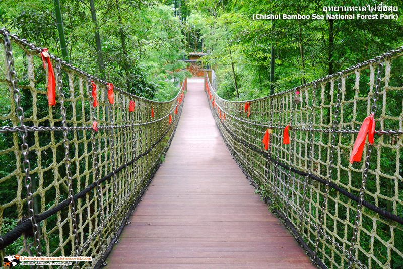 สะพานคู่รัก มองย้อนไปทางหัวสะพาน ที่ อุทยานทะเลไผ่ชื่อสุ่ย (Chishui Bamboo Sea National Forest Park)