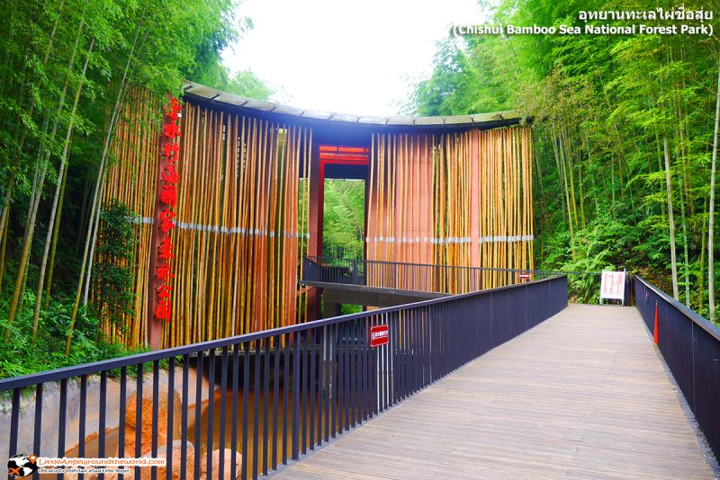 ทางเข้ายังทำด้วยไผ่ ที่ เที่ยวง่ายด้วย QR Code ที่ อุทยานทะเลไผ่ชื่อสุ่ย (Chishui Bamboo Sea National Forest Park)