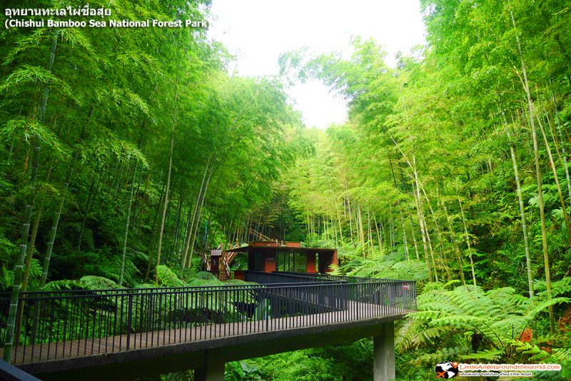 อุทยานทะเลไผ่ชื่อสุ่ย (Chishui Bamboo Sea National Forest Park)