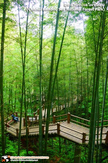 อุทยานทะเลไผ่ชื่อสุ่ย (Chishui Bamboo Sea National Forest Park)
