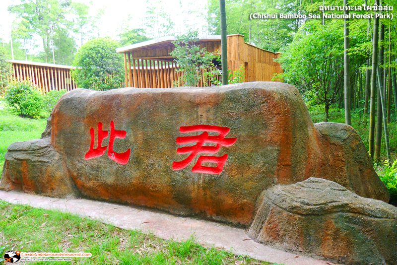 บริเวณเสวนาการเมือง ของเหล่านักปราชญ์จีน ทั้งเจ็ด ที่นั่งสนทนาแลกเปลี่ยนเรื่องการเมือง ณ อุทยานทะเลไผ่ชื่อสุ่ย (Chishui Bamboo Sea National Forest Park) จนทำให้เป็นสถานที่ท่องเที่ยวที่นักท่องเที่ยวตามมาเที่ยวในปัจจุบัน