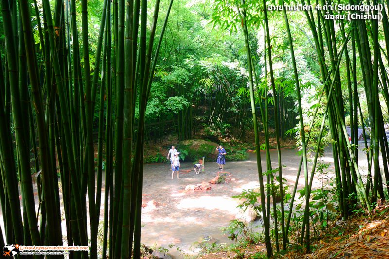 วิวระหว่างนั่งรถกอล์ฟ เพื่อขึ้นไปยังน้ำตกกบบิน น้ำตกชั้นที่ 3 ของอุทยานน้ำตก 4 ถ้ำ (Sidonggou) : อุทยานน้ำตกดังของชื่อสุ่ย (Chishui)