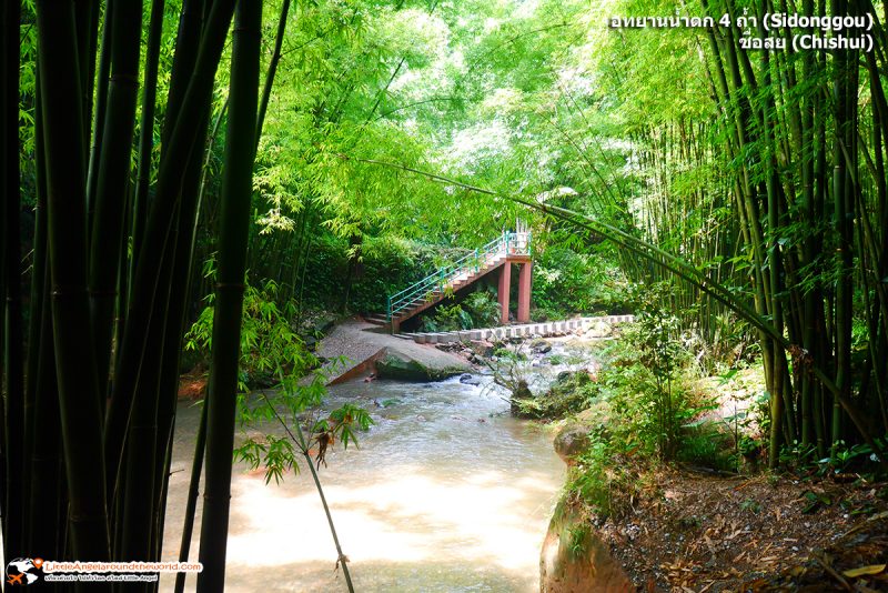 วิวระหว่างนั่งรถกอล์ฟ เพื่อขึ้นไปยังน้ำตกกบบิน น้ำตกชั้นที่ 3 ของอุทยานน้ำตก 4 ถ้ำ (Sidonggou) : อุทยานน้ำตกดังของชื่อสุ่ย (Chishui)
