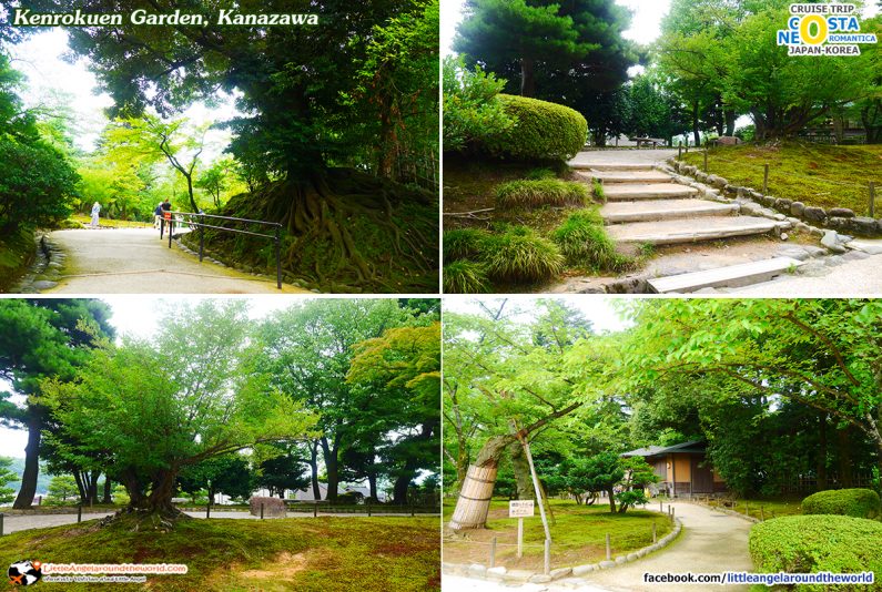 Kenrokuen Garden ติดอันดับ 1 ใน 3 สวนสวยที่สุดของญี่ปุ่น : ทริปล่องเรือสำราญ Costa neoRomantica เที่ยวคานาซาวะ (Kanazawa)
