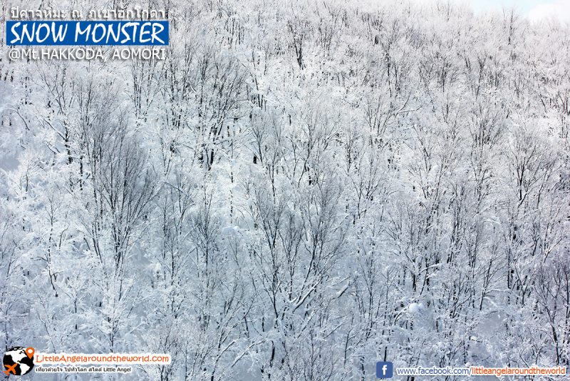 หิมะปกคลุมทั้งภูเขา สวยดั่งภาพวาด เกินบรรยาย วิวจาก Ropeway ที่ Mt.Hakkoda : Snow Monsters at Mt.Hakkoda