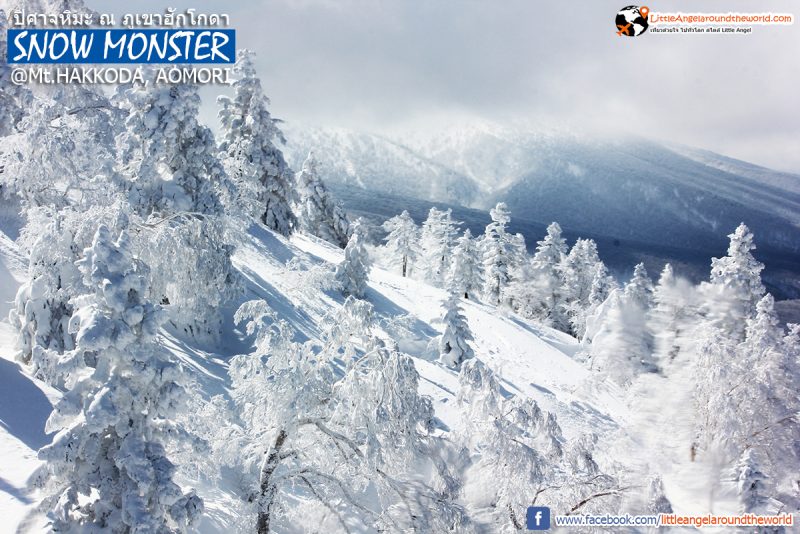 นี่ภูเขาปิศาจหิมะหรือสวรรค์ สวยเกินบรรยาย วิวจาก Ropeway ที่ Mt.Hakkoda : Snow Monsters at Mt.Hakkoda