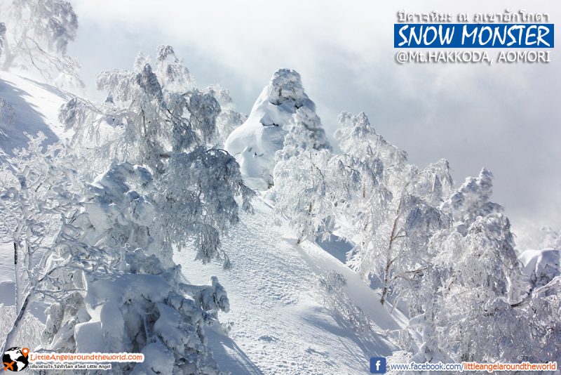 ภูเขาปิศาจหิมะหรือสวรรค์ สวยเกินบรรยาย วิวจาก Ropeway ที่ Mt.Hakkoda : Snow Monsters at Mt.Hakkoda