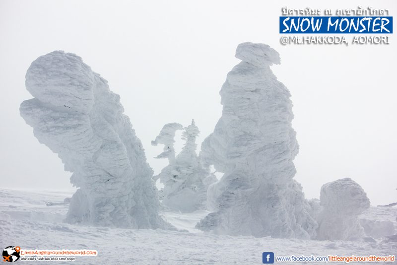 ประจันหน้ากับปิศาจหิมะ หรือ Snow Monster ความสวยที่ธรรมชาติสร้าง ที่ Mt.Hakkoda : Snow Monsters at Mt.Hakkoda