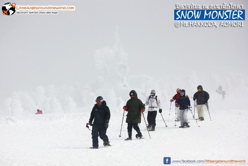 Mt.Hakkoda อีกหนึ่งสถานที่ที่นิยมมาเล่นสกี : Snow Monsters at Mt.Hakkoda