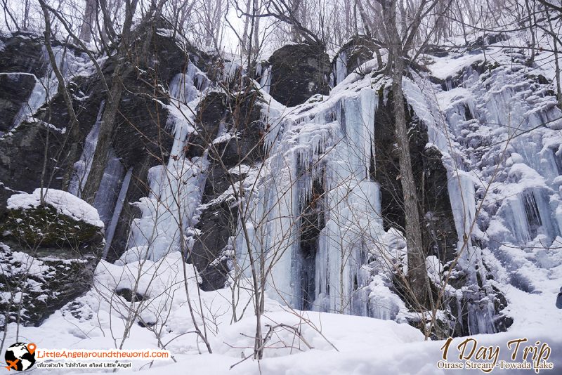 วิวสวยที่ ลำธารโออิราเซะ(Oirase Stream) เส้นทางท่องเที่ยวสวยของอาโอโมริ (Aomori)