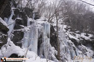วิวสวยที่ ลำธารโออิราเซะ(Oirase Stream) เส้นทางท่องเที่ยวสวยของอาโอโมริ (Aomori)