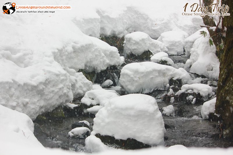 ลำธารโออิราเซะ(Oirase Stream) เส้นทางท่องเที่ยวสวยของอาโอโมริ (Aomori)