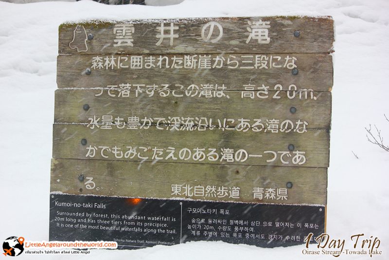 ลำธารโออิราเซะ(Oirase Stream) เส้นทางท่องเที่ยวสวยของอาโอโมริ (Aomori)