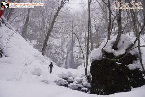 ลำธารโออิราเซะ(Oirase Stream) เส้นทางท่องเที่ยวสวยของอาโอโมริ (Aomori)