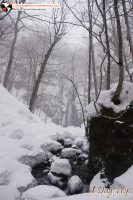 ลำธารโออิราเซะ(Oirase Stream) เส้นทางท่องเที่ยวสวยของอาโอโมริ (Aomori)
