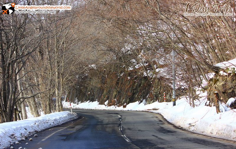 ลำธารโออิราเซะ(Oirase Stream) เส้นทางท่องเที่ยวสวยของอาโอโมริ (Aomori)