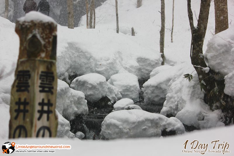 ลำธารโออิราเซะ(Oirase Stream) เส้นทางท่องเที่ยวสวยของอาโอโมริ (Aomori)