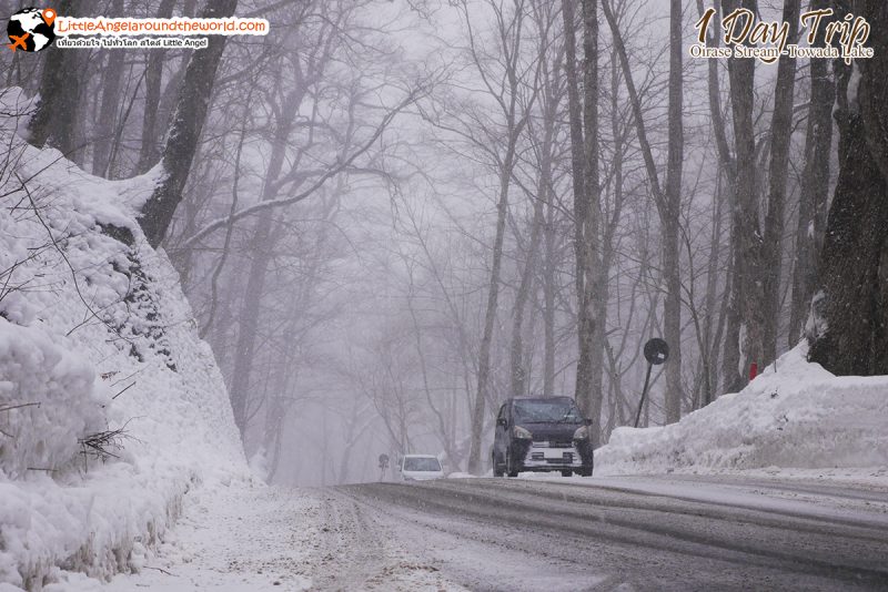 ลำธารโออิราเซะ(Oirase Stream) เส้นทางท่องเที่ยวสวยของอาโอโมริ (Aomori)