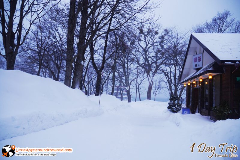 ทะเลสาปโทวาดะ (Lake Towada) สถานที่ท่องเที่ยวชื่อดังของอาโอโมริ (Aomori)