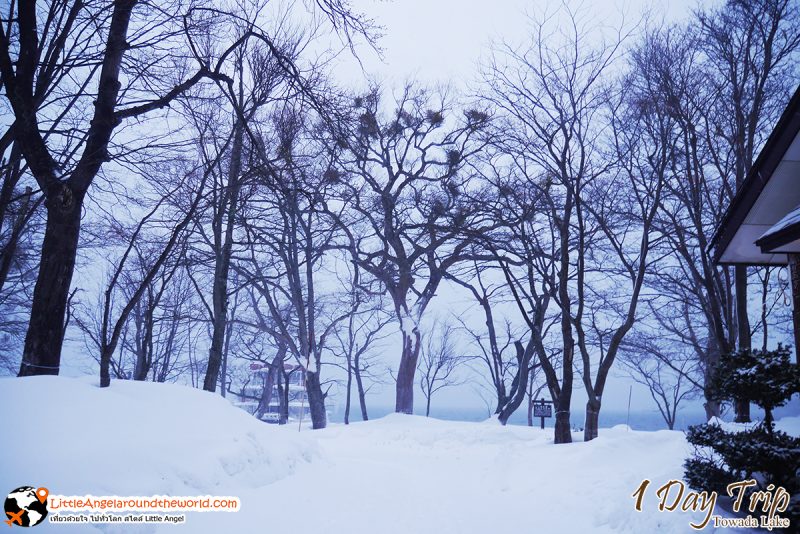 ทะเลสาปโทวาดะ (Lake Towada) สถานที่ท่องเที่ยวชื่อดังของอาโอโมริ (Aomori)