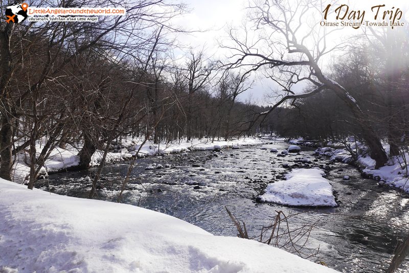 ลำธารโออิราเซะ(Oirase Stream) เส้นทางท่องเที่ยวสวยของอาโอโมริ (Aomori)