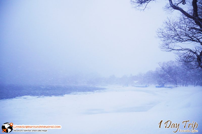 ทะเลสาปโทวาดะ (Lake Towada) สถานที่ท่องเที่ยวชื่อดังของอาโอโมริ (Aomori)