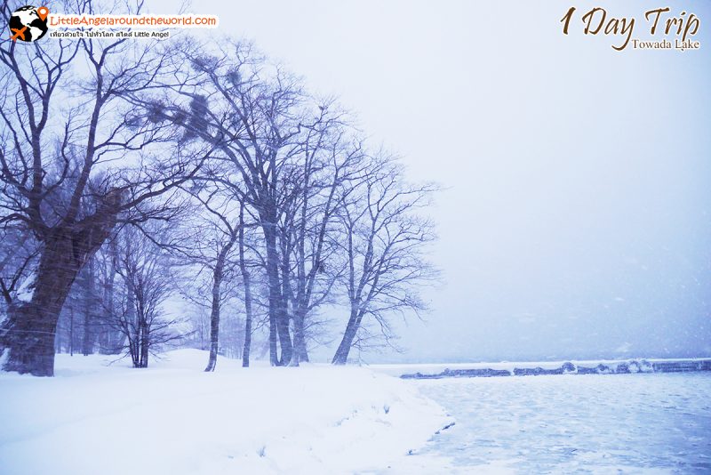 ทะเลสาปโทวาดะ (Lake Towada) สถานที่ท่องเที่ยวชื่อดังของอาโอโมริ (Aomori)