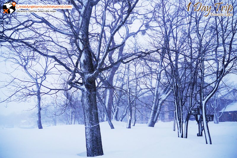 ทะเลสาปโทวาดะ (Lake Towada) สถานที่ท่องเที่ยวชื่อดังของอาโอโมริ (Aomori)