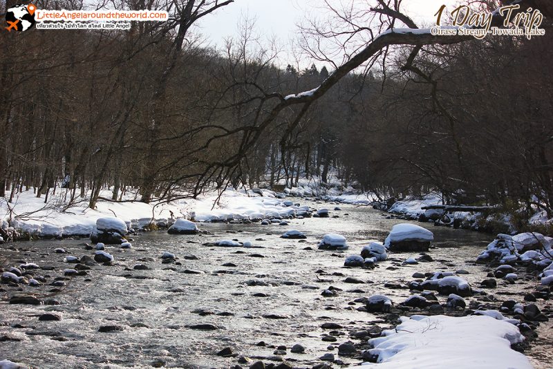 ลำธารโออิราเซะ(Oirase Stream) เส้นทางท่องเที่ยวสวยของอาโอโมริ (Aomori)