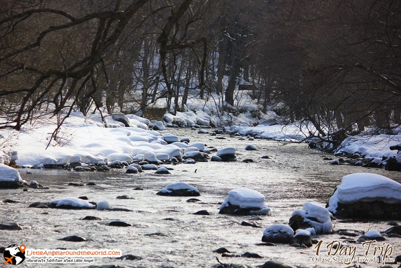 ลำธารโออิราเซะ(Oirase Stream) เส้นทางท่องเที่ยวสวยของอาโอโมริ (Aomori)