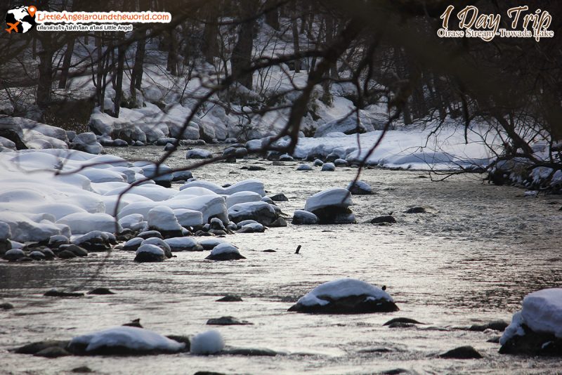 ลำธารโออิราเซะ(Oirase Stream) เส้นทางท่องเที่ยวสวยของอาโอโมริ (Aomori)