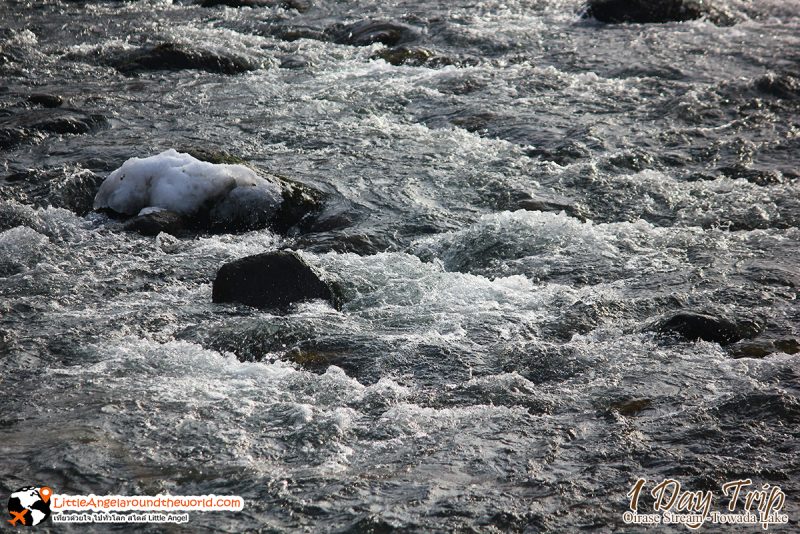 ลำธารโออิราเซะ(Oirase Stream) เส้นทางท่องเที่ยวสวยของอาโอโมริ (Aomori)