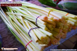ต้นหน่อกะลา สินค้าดังของเกาะเกร็ด นำไปปรุงอาหารได้หลากหลาย : เที่ยวเกาะเกร็ด (One day trip in Koh Kret)