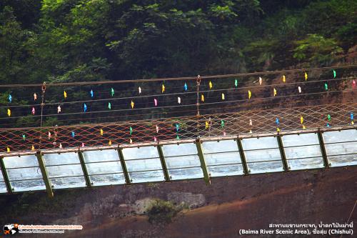 Baima River Scenic Area (16)